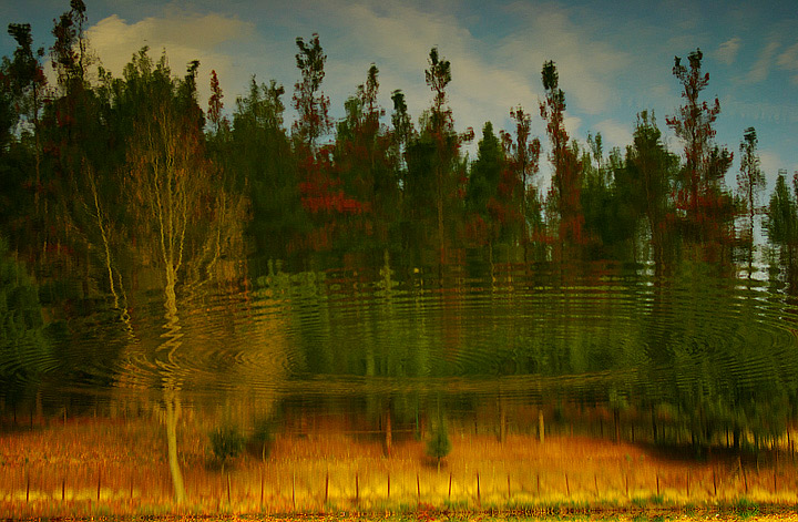 semplice autunno - riflessi nell'acqua