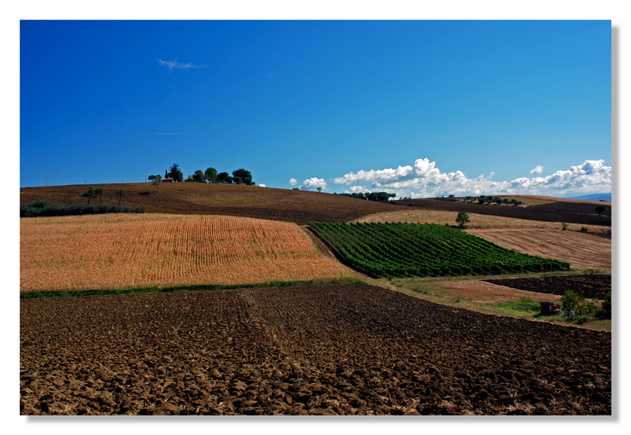 Terre Trasimene 10