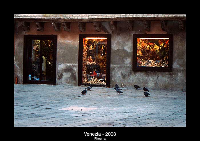 Piccioni a Venezia