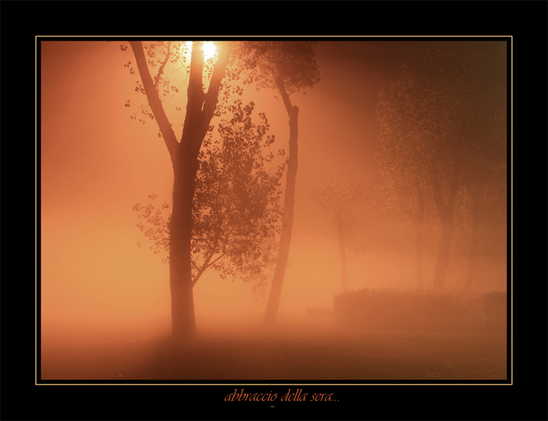 abbraccio della sera...2