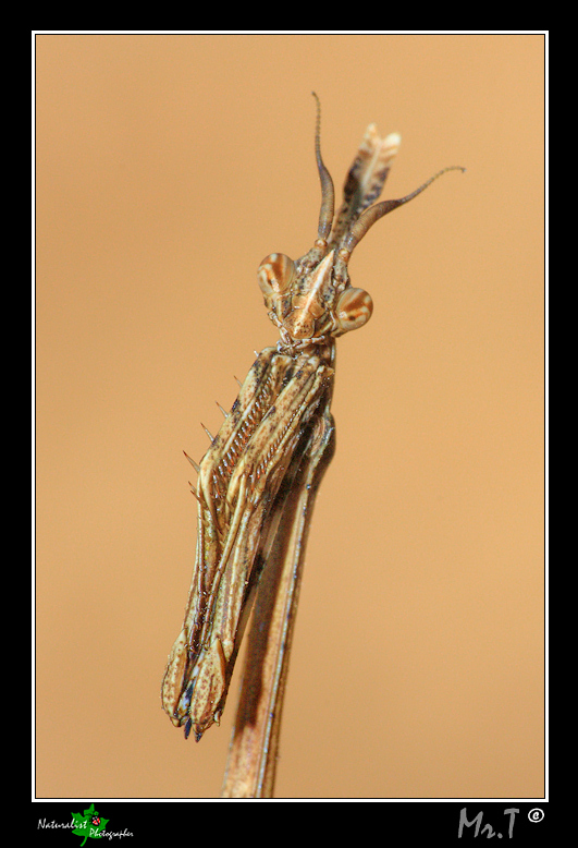 ...e tu che vuoi?...