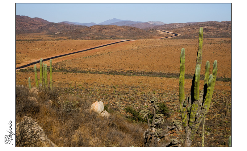 Nel paese di BipBip! :)