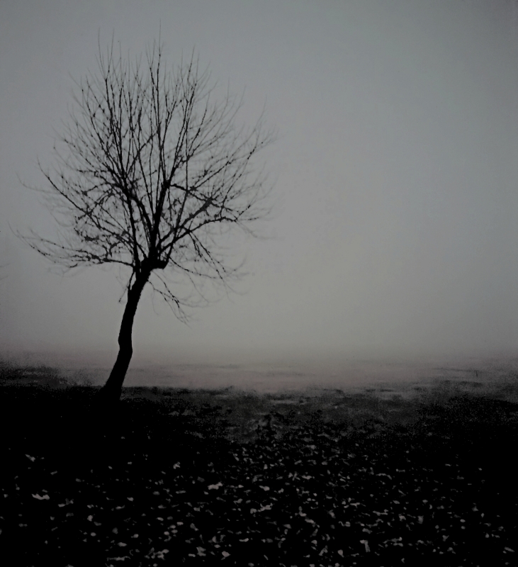 L'Inverno Del Nostro Scontento