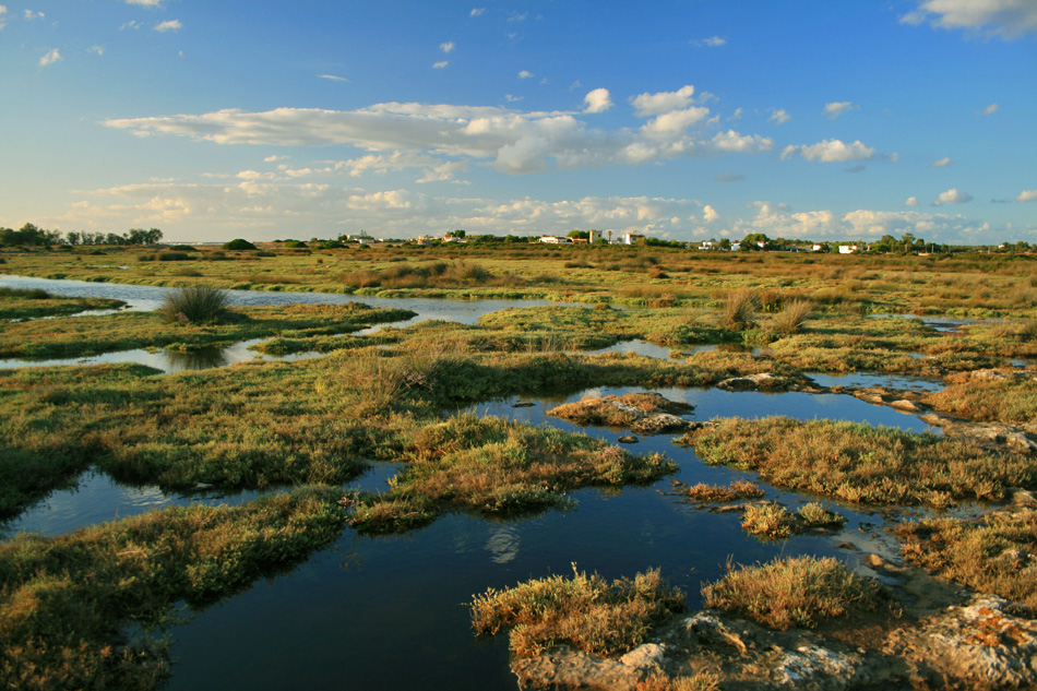 palude...al tramonto
