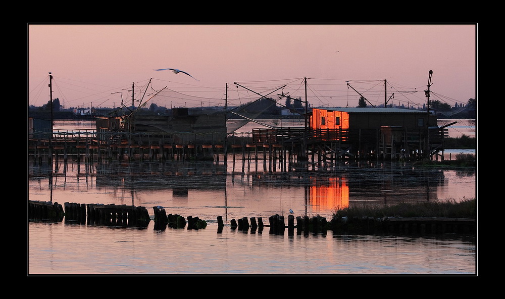 Ultimi raggi...ultimi voli