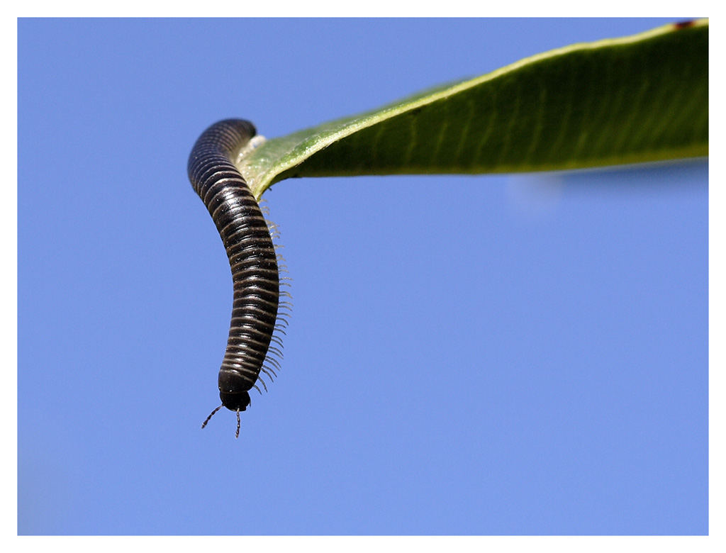 aiutoooooooooo.........