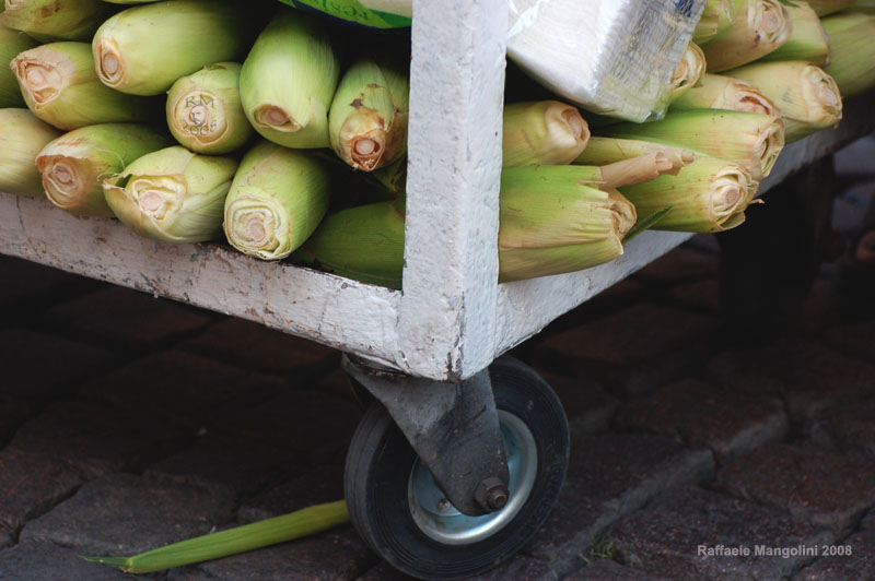 pannocchie al buskers festival