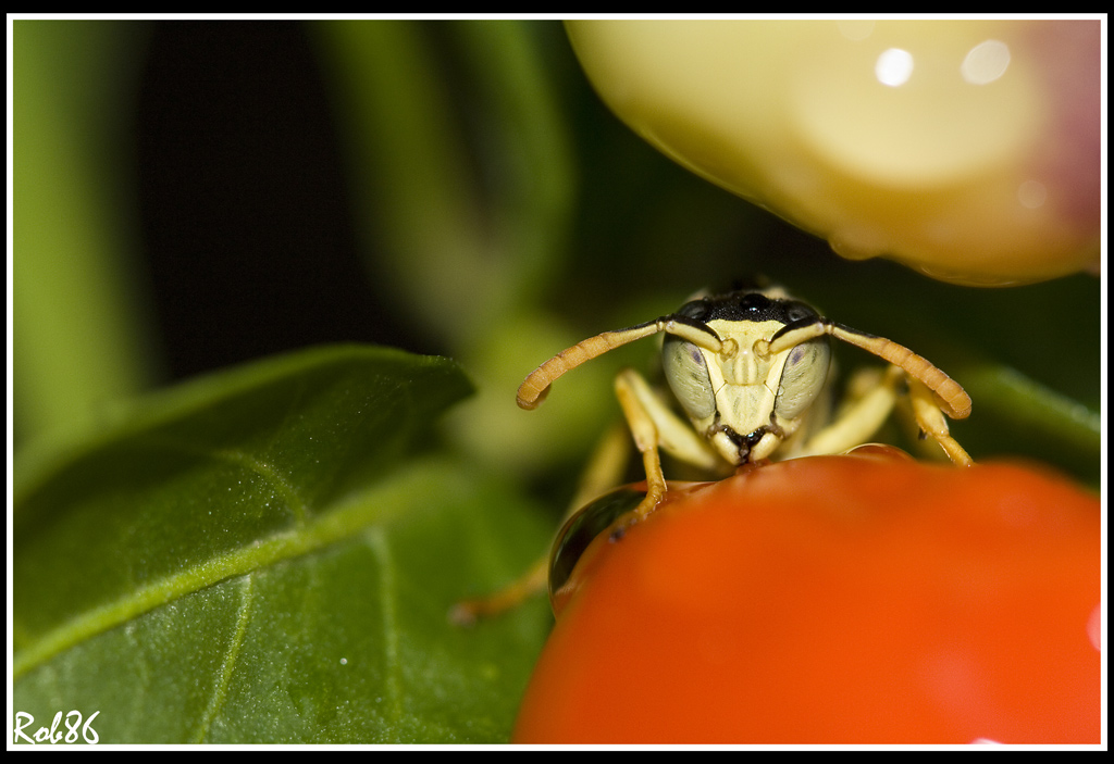 Riparo in un giorno di pioggia