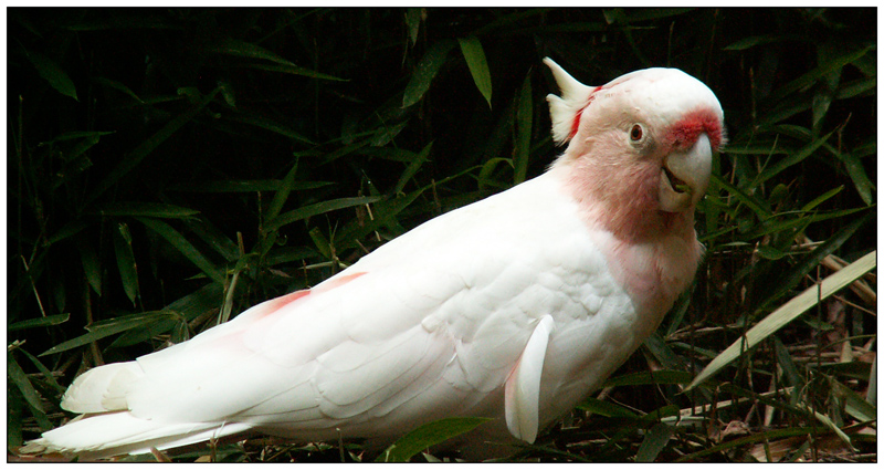 Oasi S. Alessio - img 04