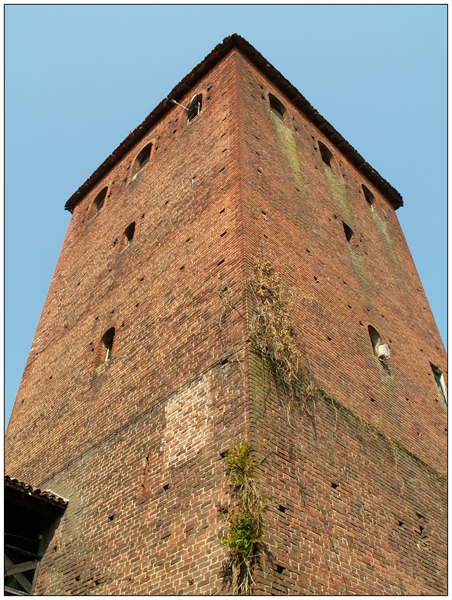 Oasi S. Alessio - img 07