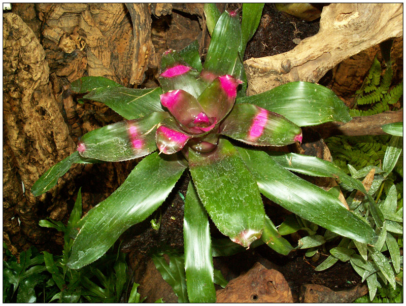 Oasi S. Alessio - img 09