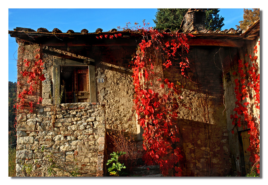 Rosso autunnale