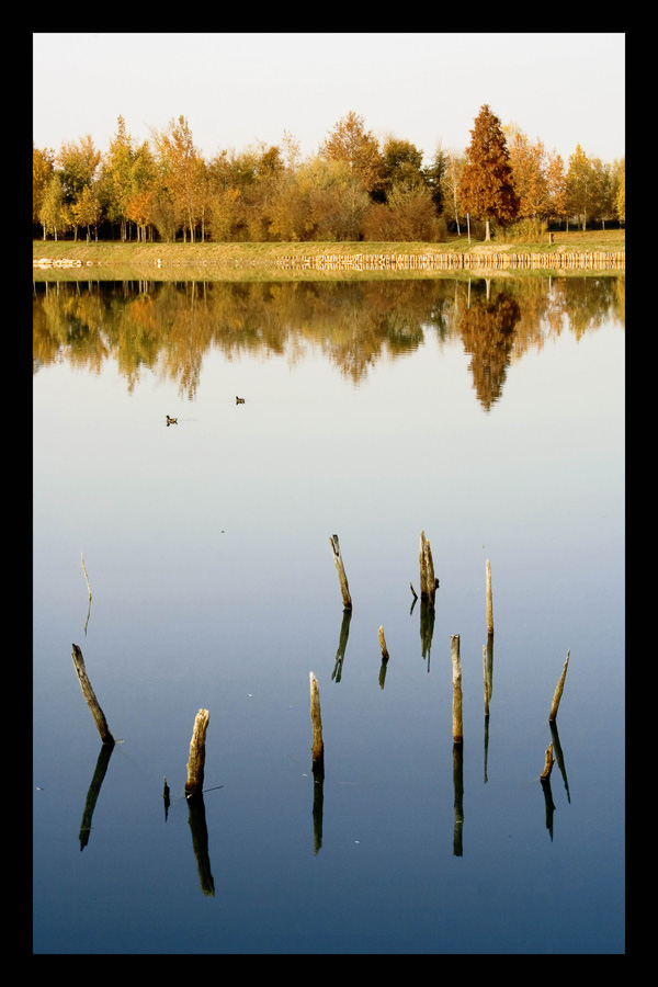 I colori dell'autunno