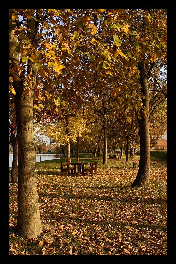 I colori dell'autunno pt.3