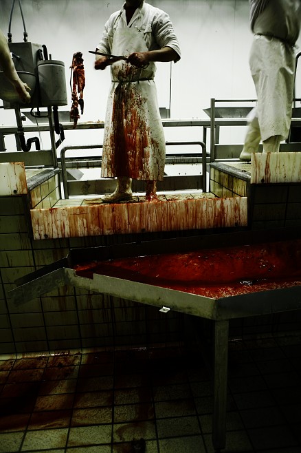 il boia (da: una giornata al mattatoio)