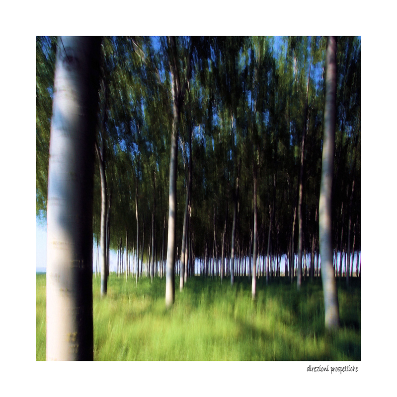 direzioni prospettiche