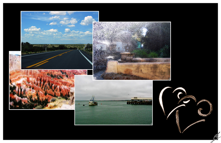 Reportage Dagli Stati Uniti