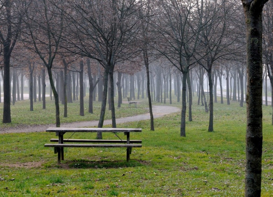 sentinelle nella foschia