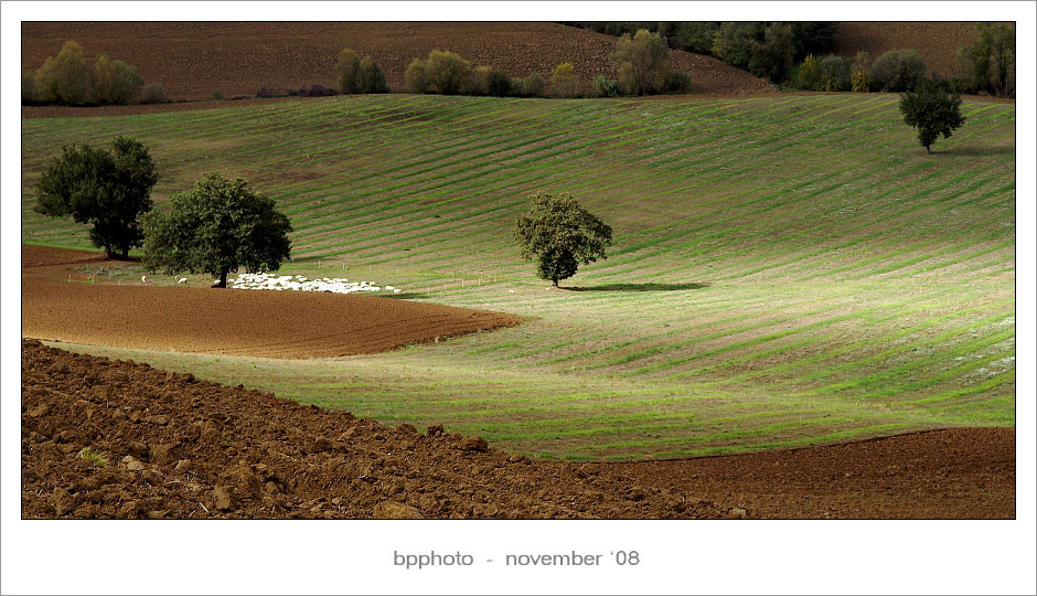 ...unraggiodisole...