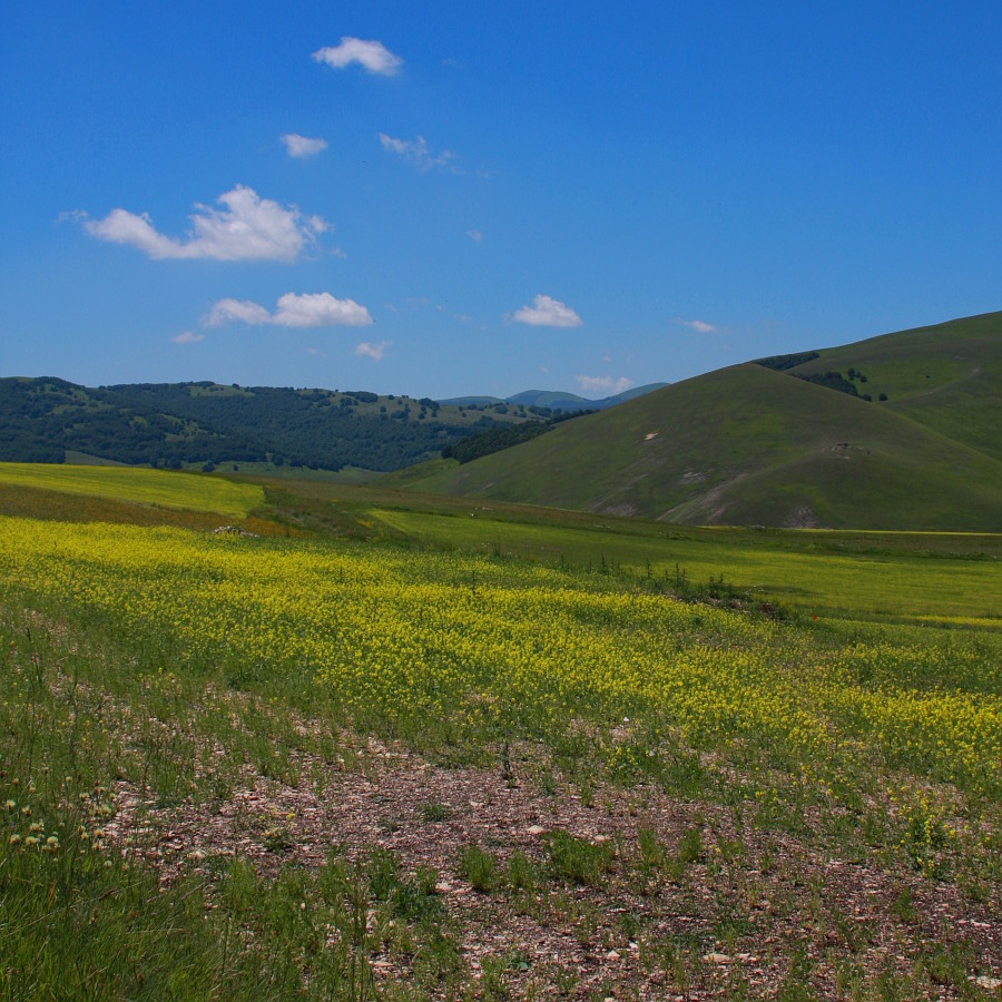 Terra e cielo complementari
