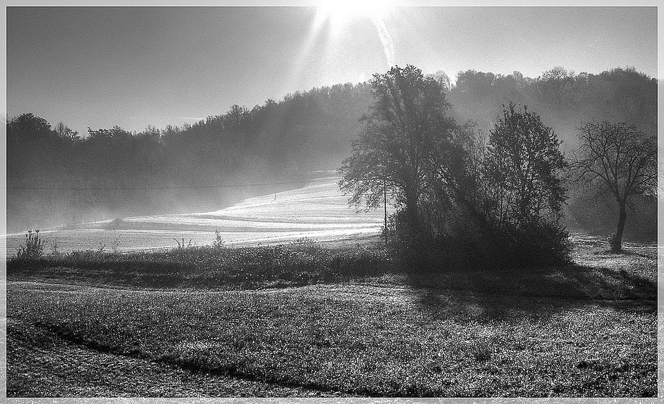 ...dalla mia finestra