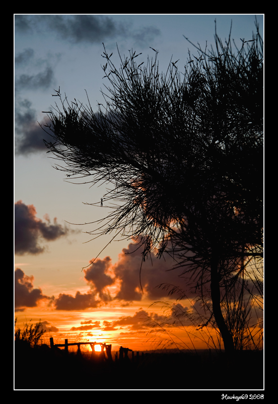 ...al calar del sol...