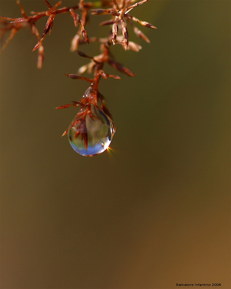 Il Mio Cielo In Una Goccia !!!