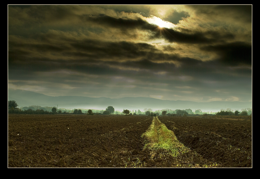 alba diversa