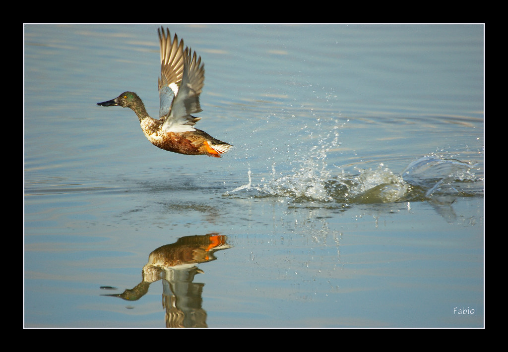 Decollo difficoltoso