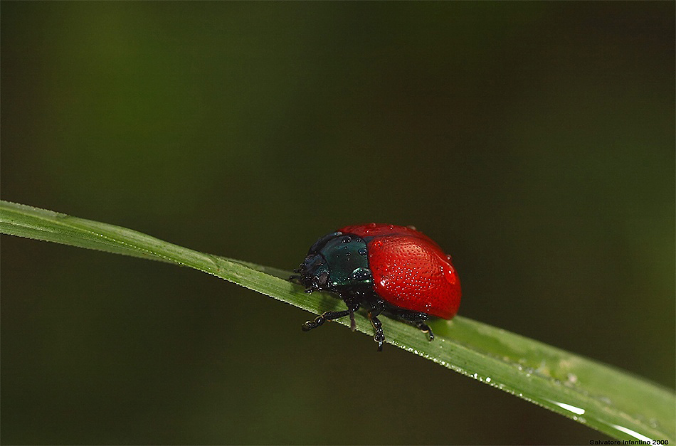 ...tutta bagnata...!!!