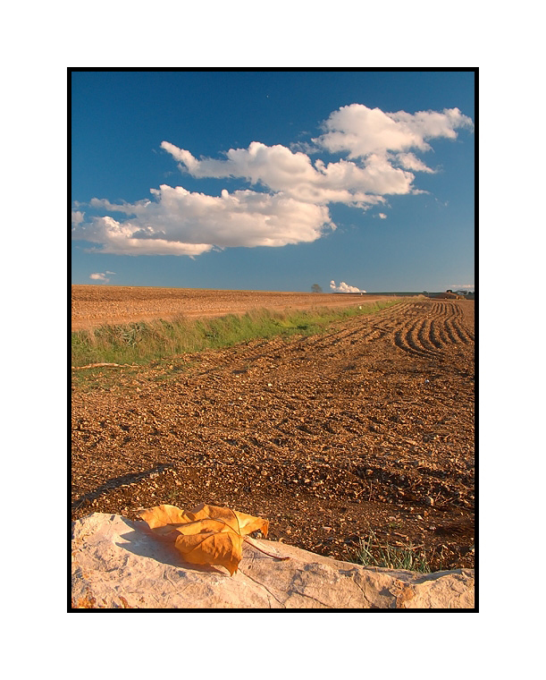 ...TRACCE D'AUTUNNO...