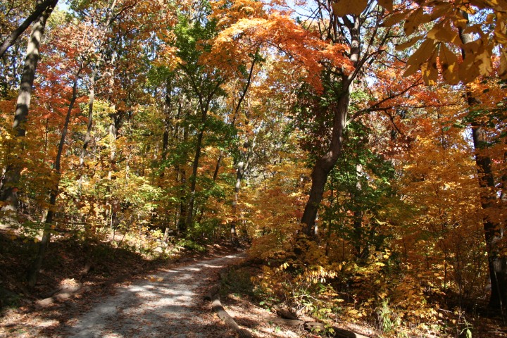 Falls in Pittsburgh - Frick Park