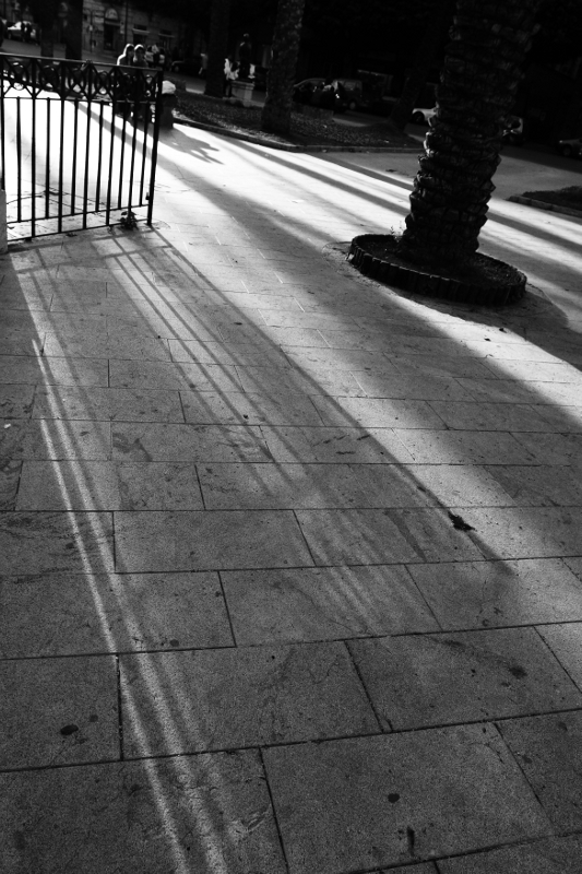 Quando si allungano le ombre