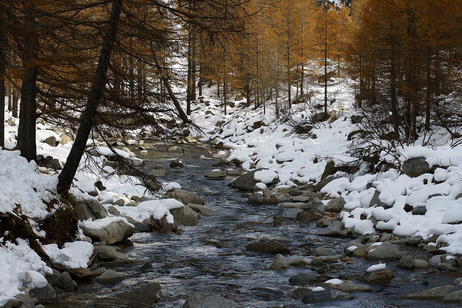 Fiume con la prima neve