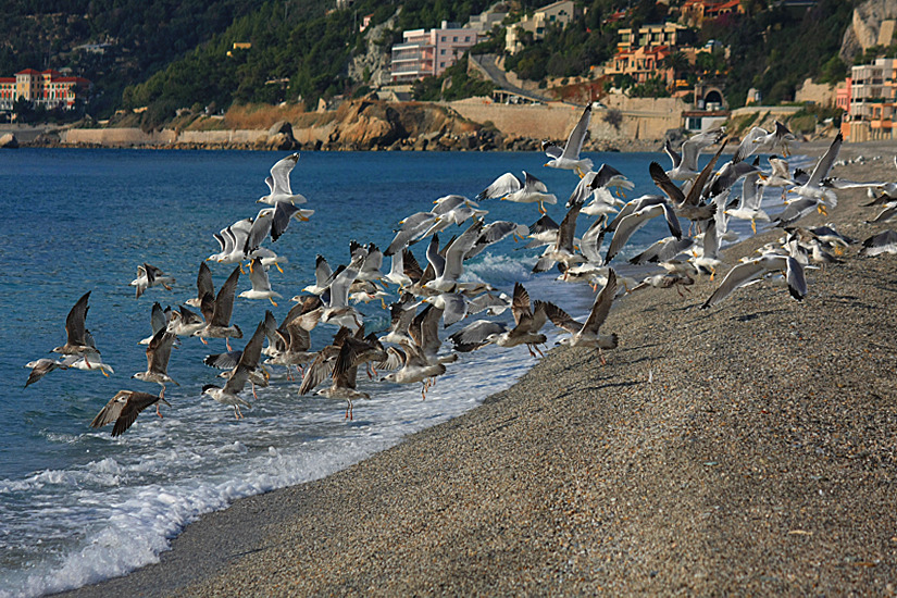 MEGLIO CAMBIARE ARIA.......