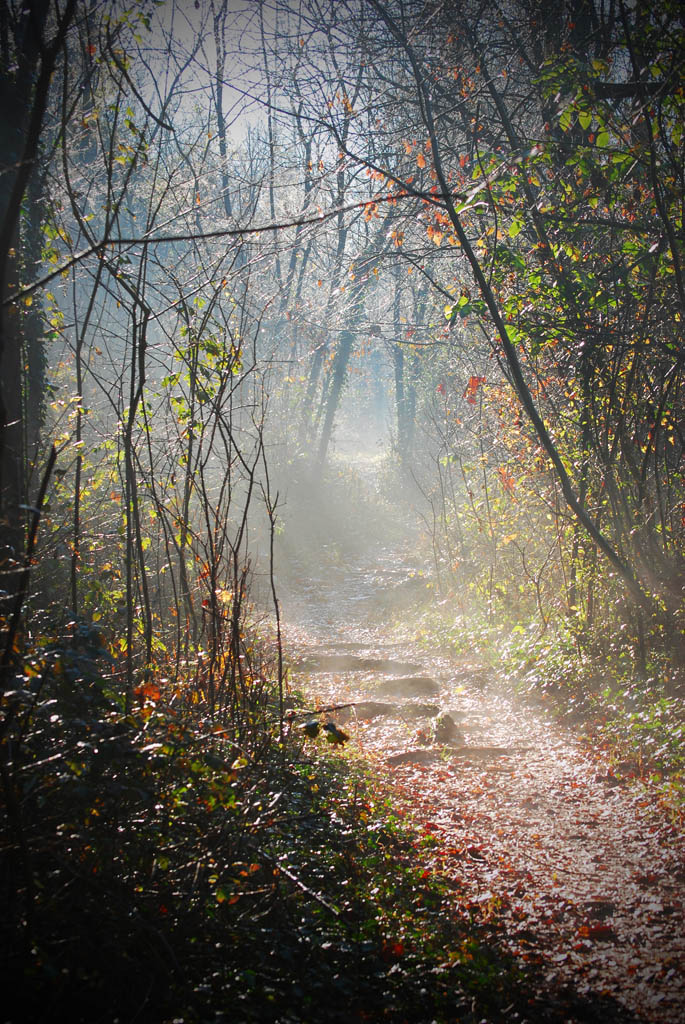 Camminando nella quiete