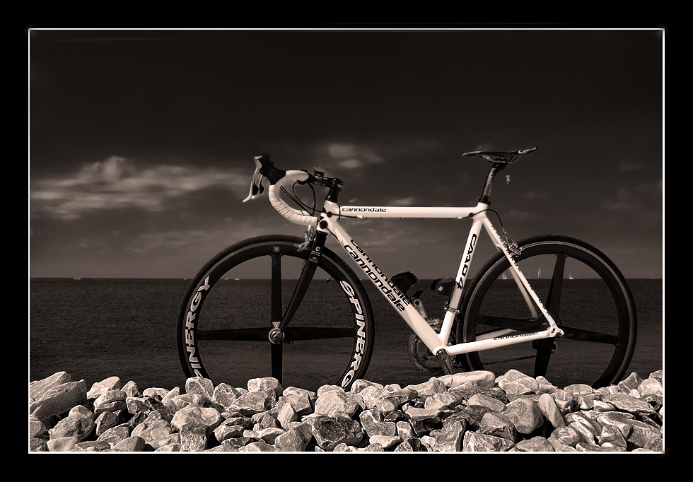 cannondale on te beach