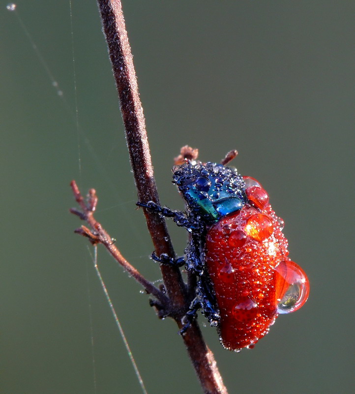 ...tutta bagnata.....