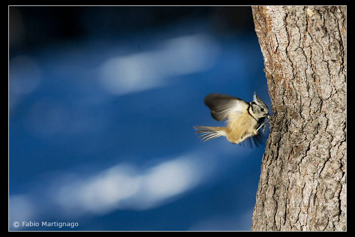 Ti spiezzo in due...