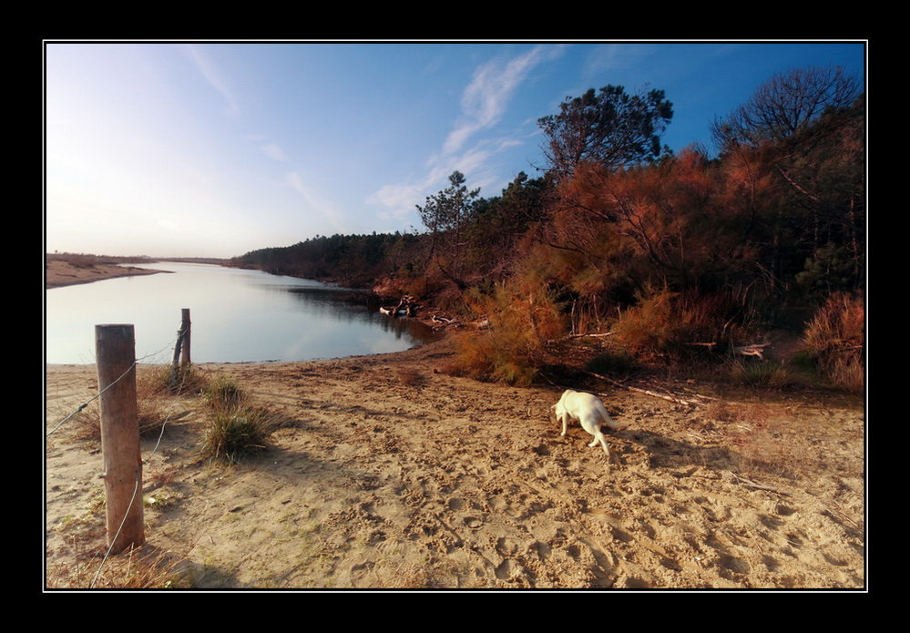 Passeggiata mattutina