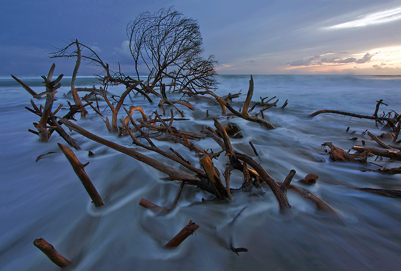 compa�eros ca�dos