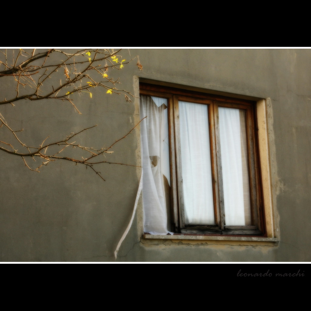 Finestra sull'abbandono