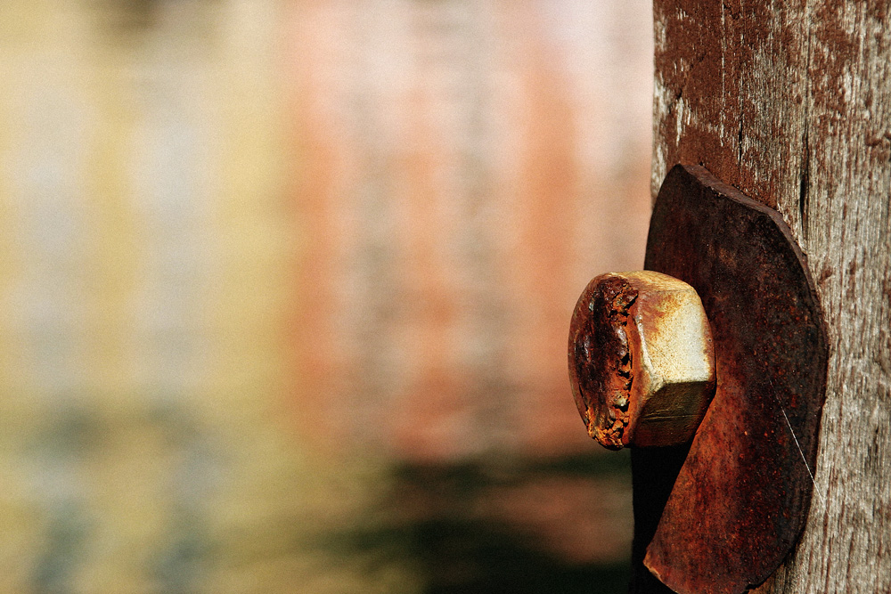 Bullone e riflessi sul lago