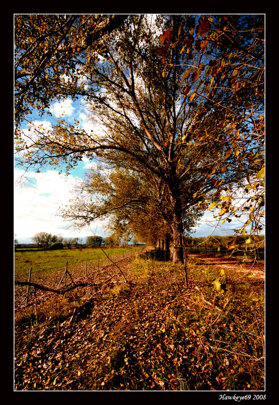 ....quel che resta 1...