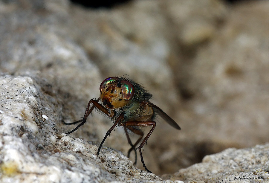 ...con gli occhiali da sole...!!!