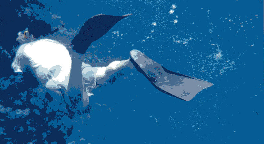 Pop Art ????????????