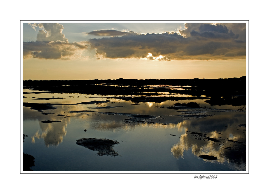 i fantasmi...della palude