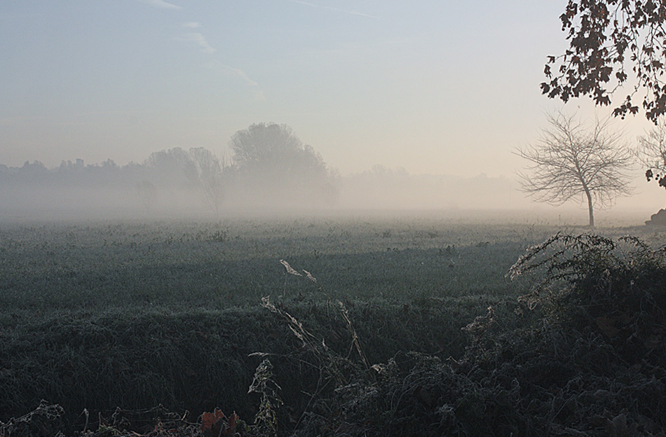 Quando i colori iniziano a ghiacciare ?
