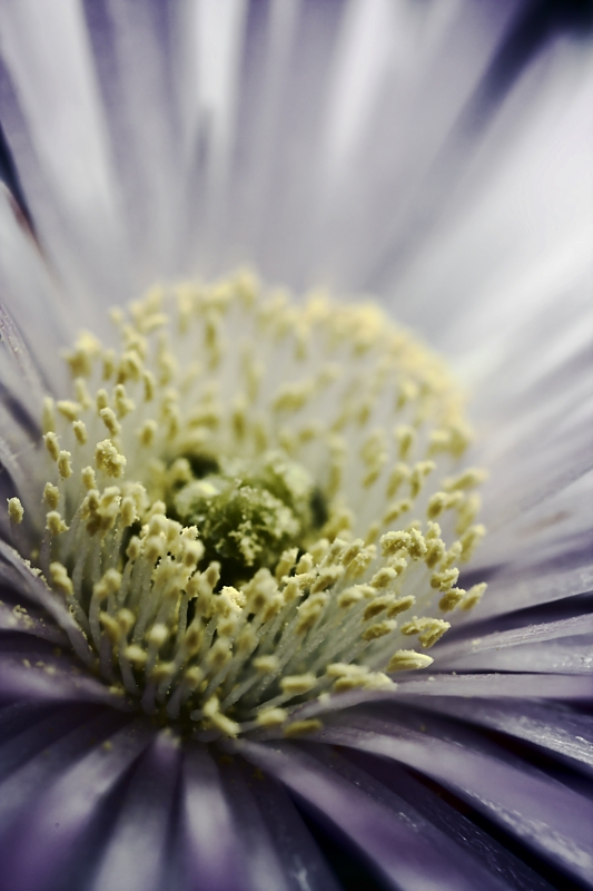 Colori Resistenti Al Lavaggio Dell'Inverno