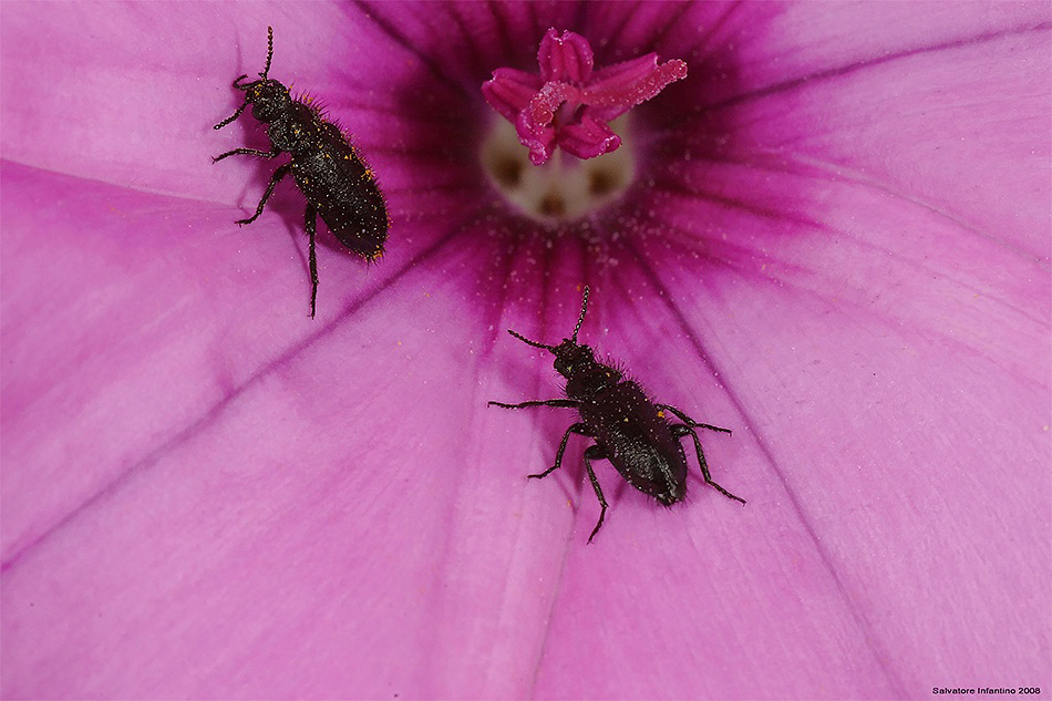 ...se ti prendo sei mia...!!!